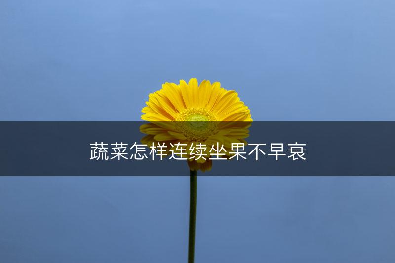 蔬菜怎样连续坐果不早衰(图1)