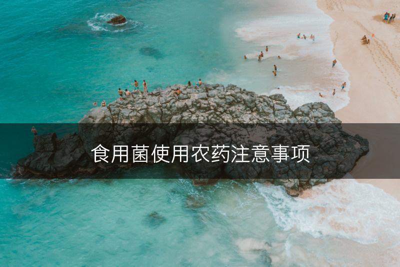 食用菌使用农药注意事项(图1)