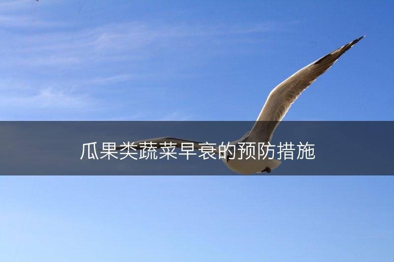 瓜果类蔬菜早衰的预防措施(图1)