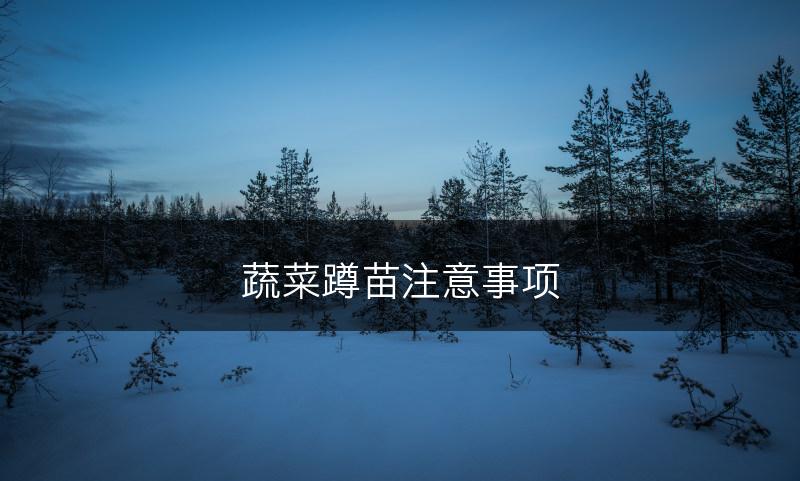 蔬菜蹲苗注意事项(图1)