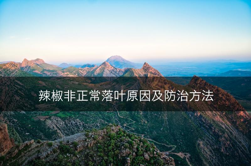 辣椒非正常落叶原因及防治方法(图1)