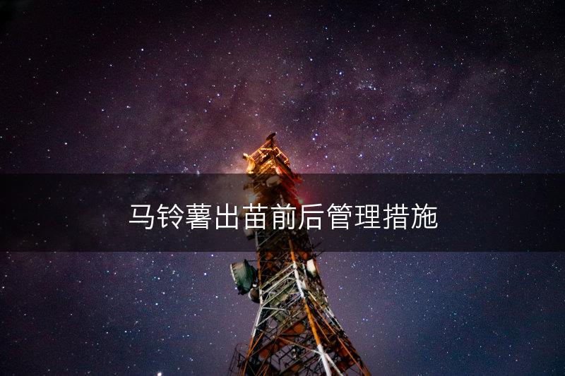 马铃薯出苗前后管理措施(图1)