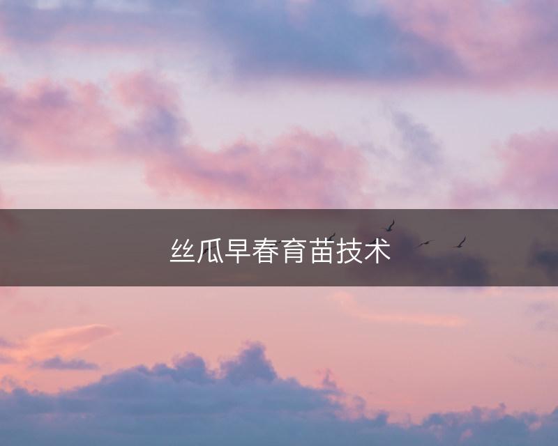 丝瓜早春育苗技术(图1)