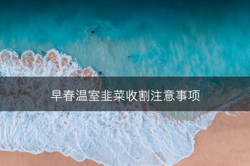 早春温室韭菜收割注意事项(图1)