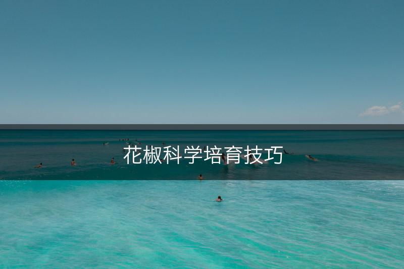 花椒科学培育技巧(图1)