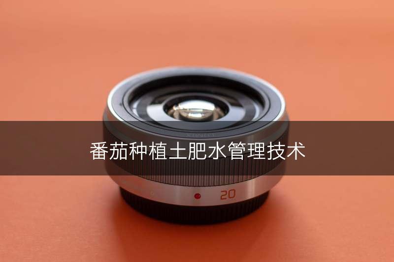 番茄种植土肥水管理技术(图1)