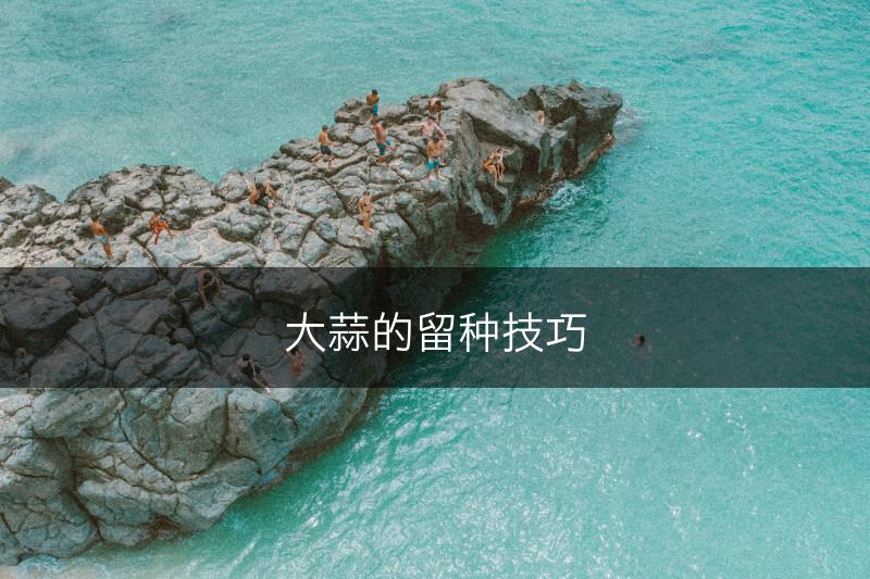 大蒜的留种技巧(图1)