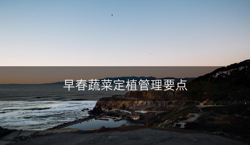 早春蔬菜定植管理要点(图1)