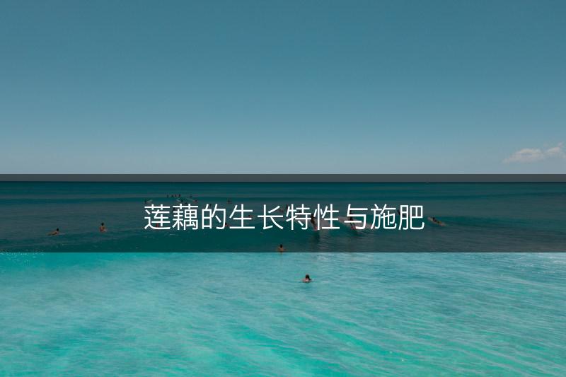 莲藕的生长特性与施肥(图1)