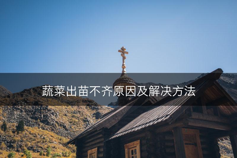 蔬菜出苗不齐原因及解决方法(图1)