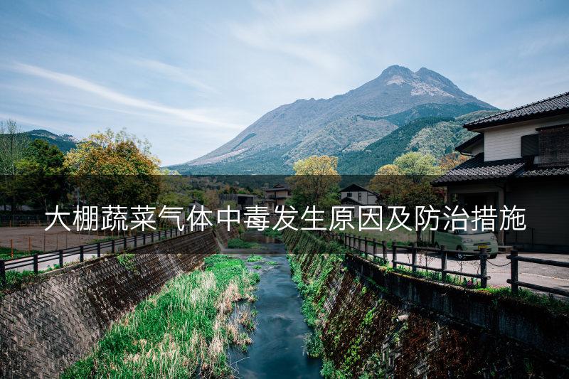 大棚蔬菜气体中毒发生原因及防治措施(图1)