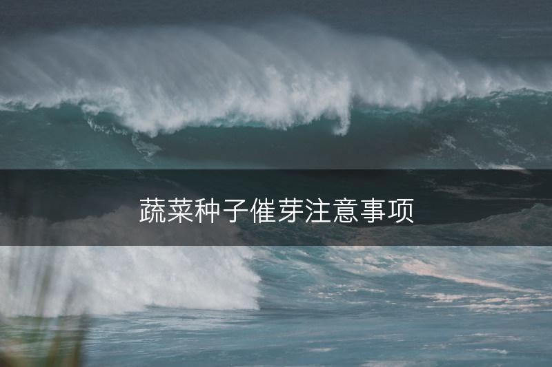 蔬菜种子催芽注意事项(图1)