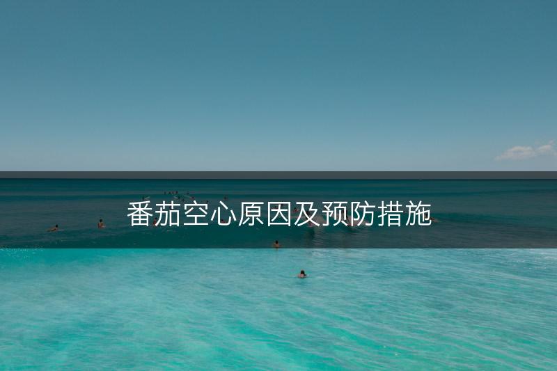 番茄空心原因及预防措施(图1)