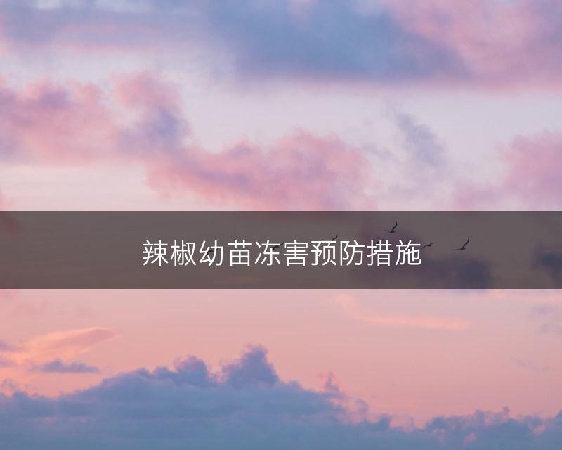 辣椒幼苗冻害预防措施(图1)