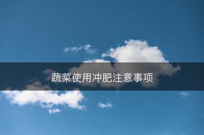 蔬菜使用冲肥注意事项(图1)