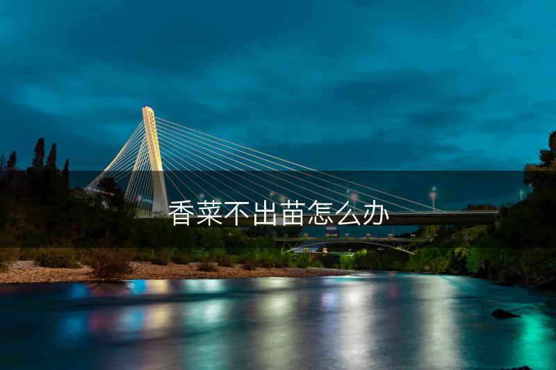 香菜不出苗怎么办(图1)