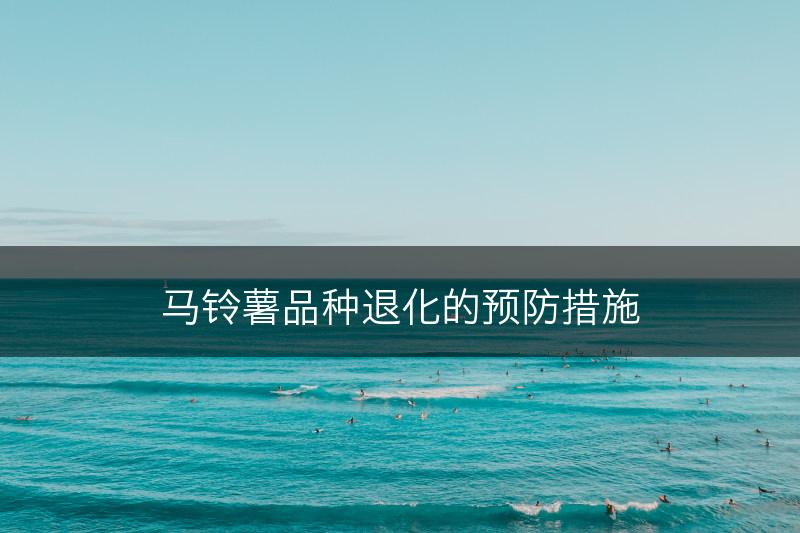 马铃薯品种退化的预防措施(图1)