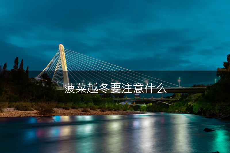 菠菜越冬要注意什么(图1)