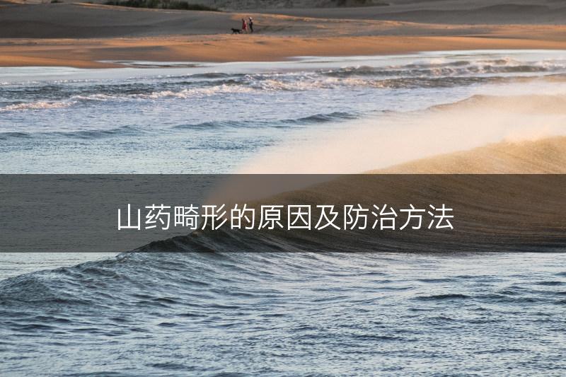 山药畸形的原因及防治方法(图1)