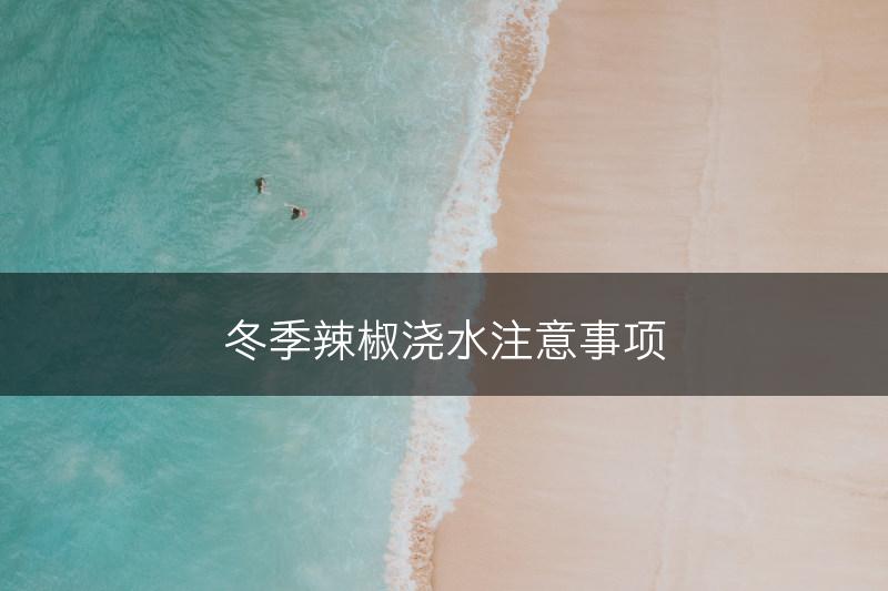 冬季辣椒浇水注意事项(图1)