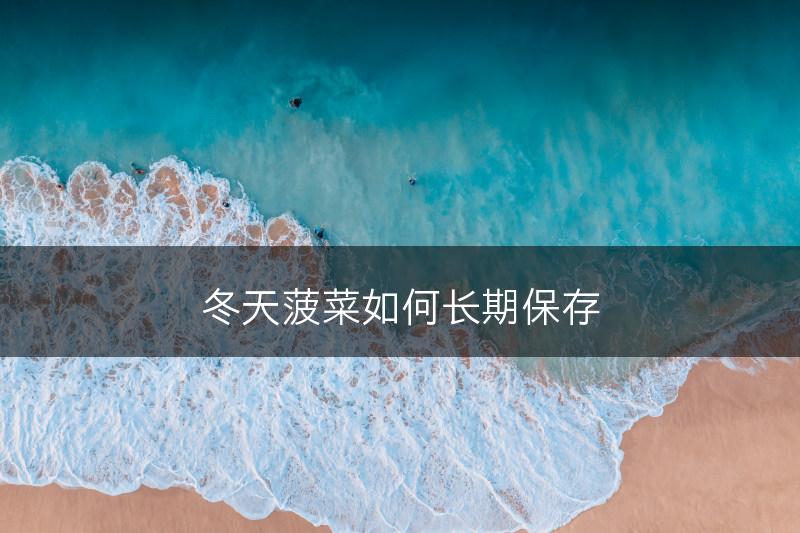 冬天菠菜如何长期保存(图1)