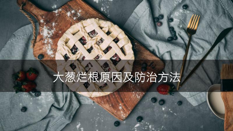 大葱烂根原因及防治方法(图1)