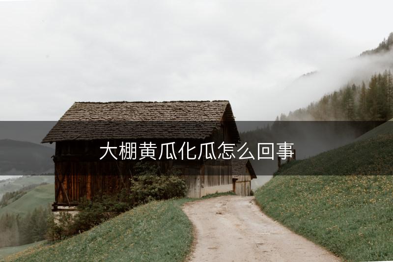 大棚黄瓜化瓜怎么回事(图1)