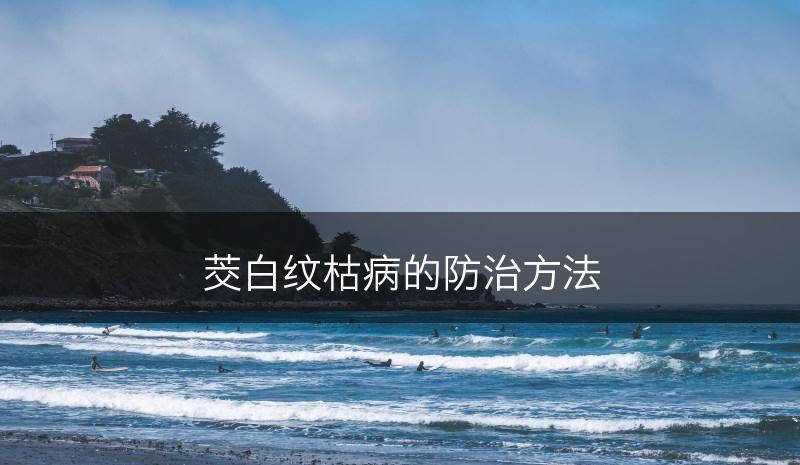 茭白纹枯病的防治方法(图1)