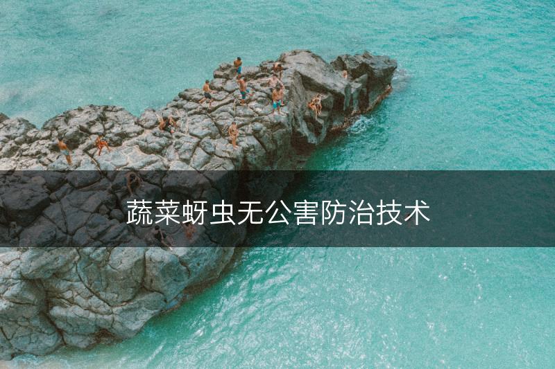 蔬菜蚜虫无公害防治技术(图1)