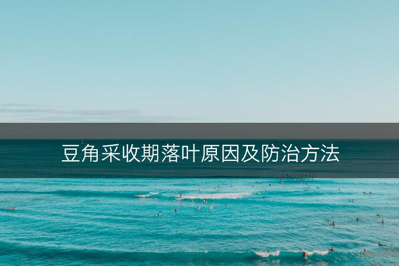 豆角采收期落叶原因及防治方法(图1)