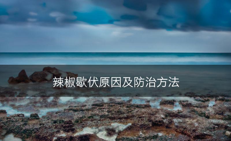 辣椒歇伏原因及防治方法(图1)