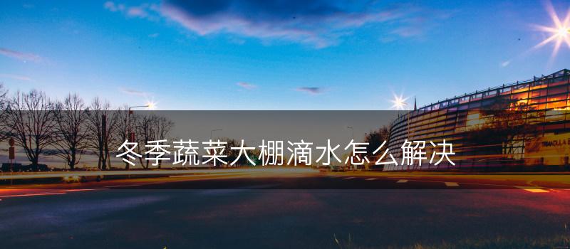 冬季蔬菜大棚滴水怎么解决(图1)