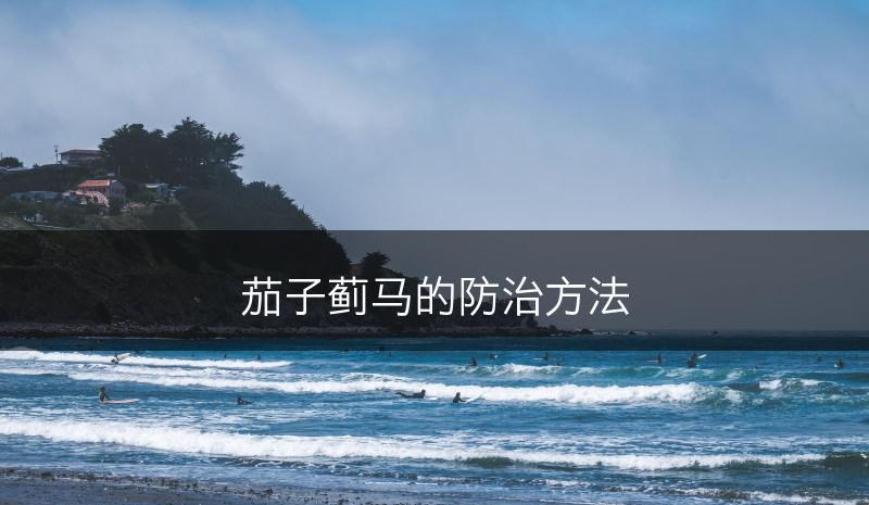 茄子蓟马的防治方法(图1)