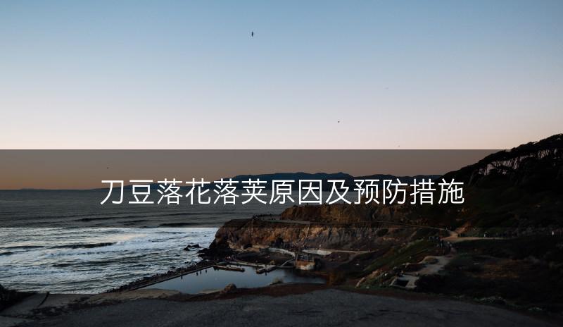 刀豆落花落荚原因及预防措施(图1)