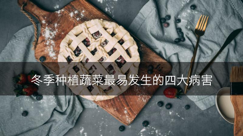 冬季种植蔬菜最易发生的四大病害(图1)