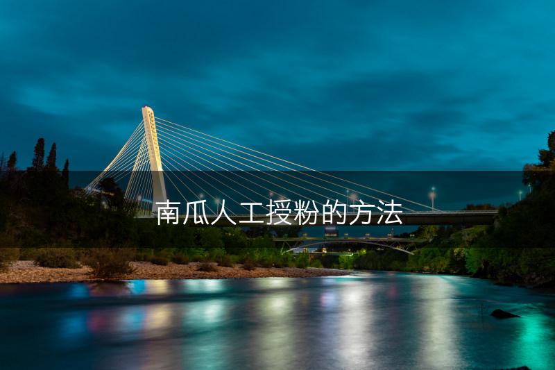 南瓜人工授粉的方法(图1)