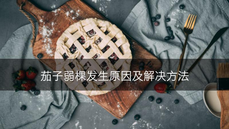 茄子弱棵发生原因及解决方法(图1)