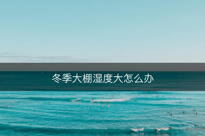 冬季大棚湿度大怎么办(图1)