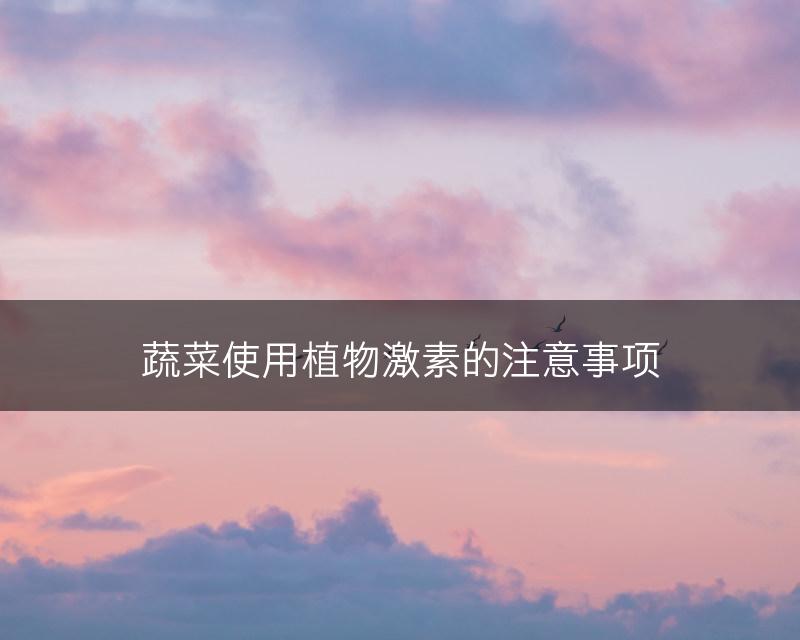 蔬菜使用植物激素的注意事项(图1)