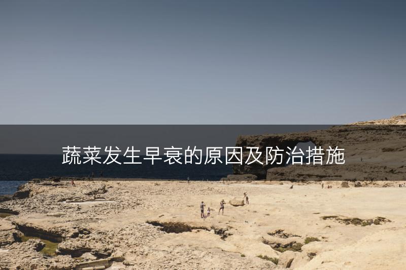 蔬菜发生早衰的原因及防治措施(图1)