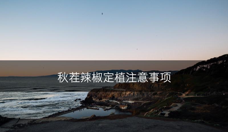秋茬辣椒定植注意事项(图1)