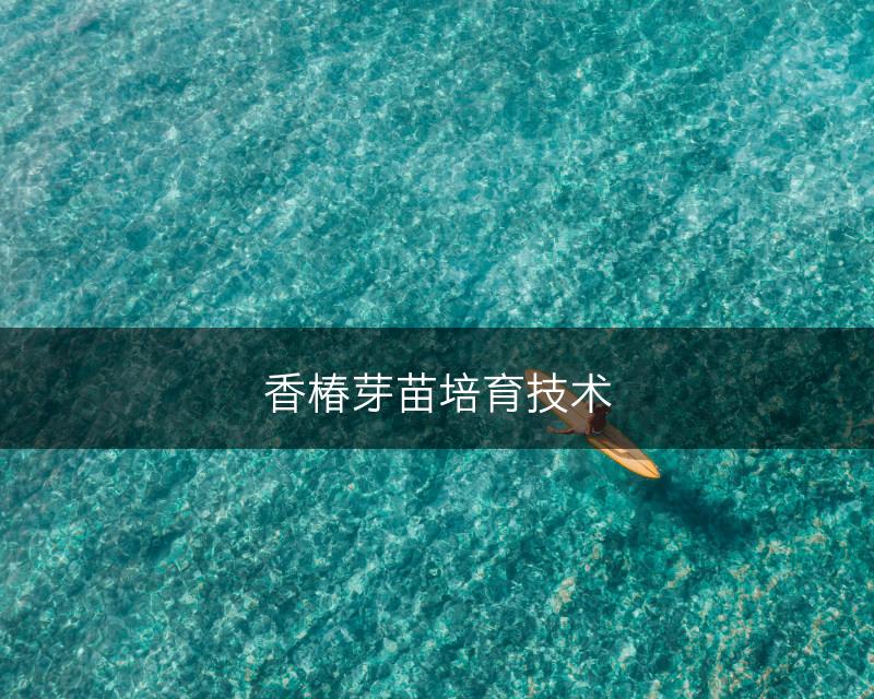 香椿芽苗培育技术(图1)