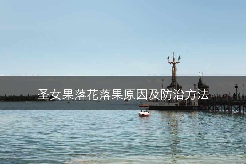 圣女果落花落果原因及防治方法(图1)