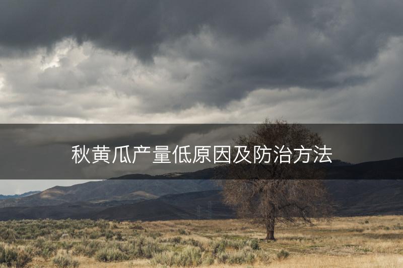 秋黄瓜产量低原因及防治方法(图1)