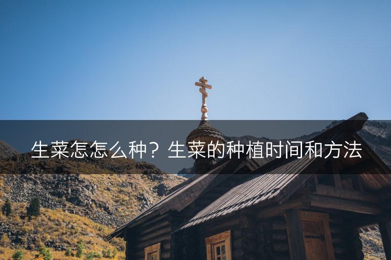 生菜怎怎么种？生菜的种植时间和方法(图1)