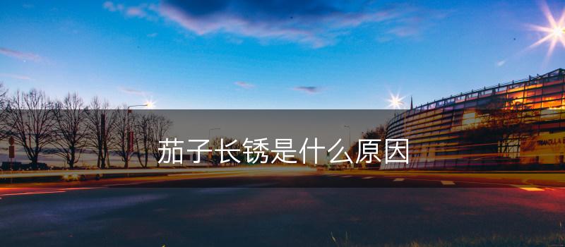 茄子长锈是什么原因(图1)