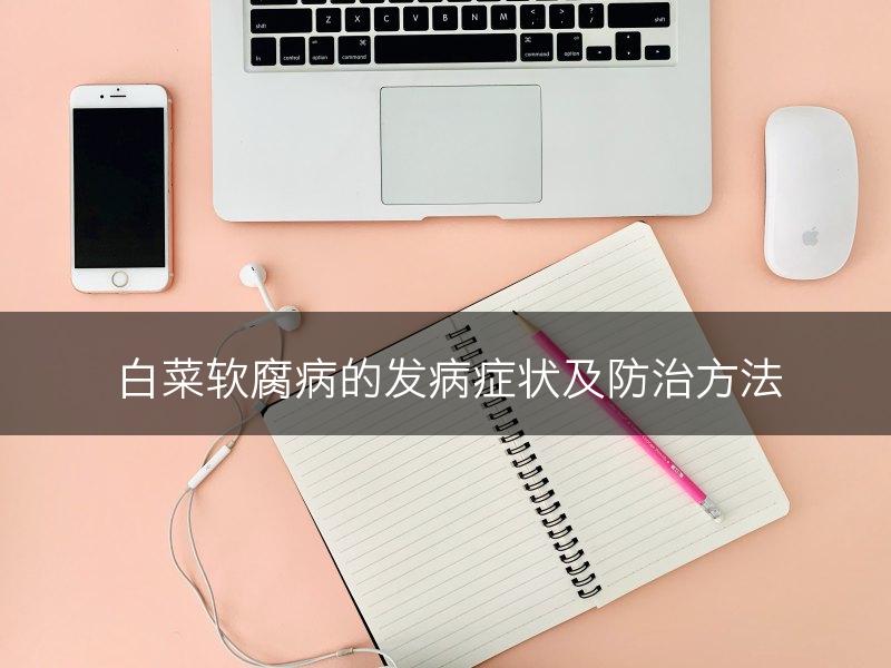 白菜软腐病的发病症状及防治方法(图1)
