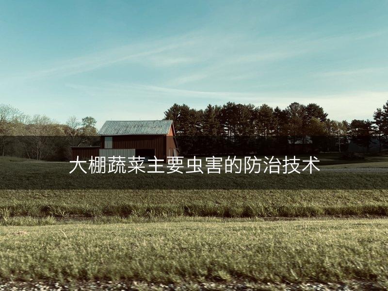 大棚蔬菜主要虫害的防治技术(图1)