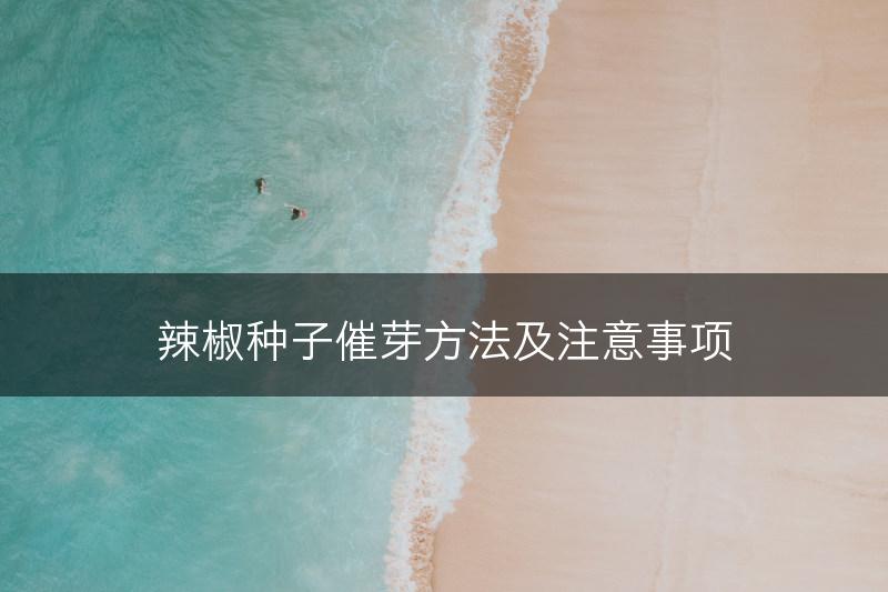 辣椒种子催芽方法及注意事项(图1)