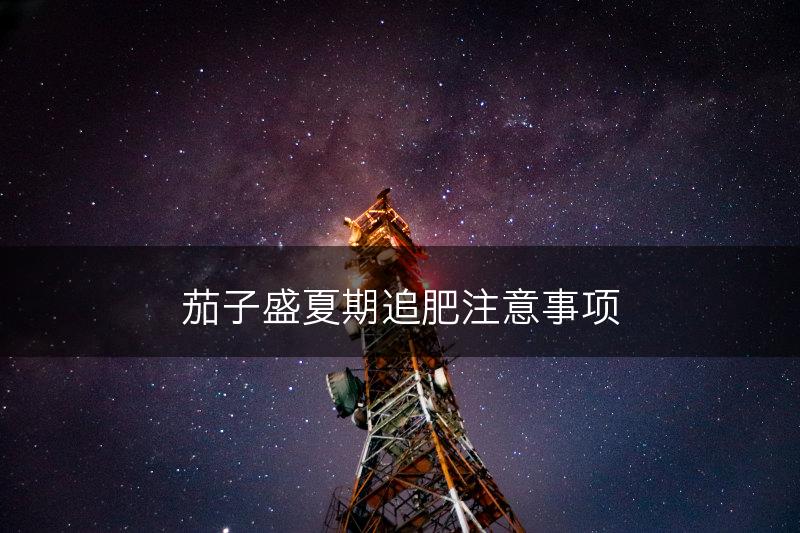 茄子盛夏期追肥注意事项(图1)